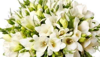 משלוח פרחים - הזמן עכשיו